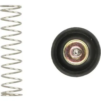 Těsnění pro motocykl TOURMAX opravná sada odpojovacího ventilu vzduchu HONDA VT 750C/CA/C2 SHADOW 04-09, VTX 13