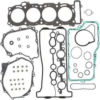 Těsnění motoru Winderosa sada těsnění motoru (s olejovým těsněním) Yamaha Apex EFI 10, Apex ER EFI 06-07,