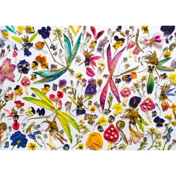 Puzzle ENJOY Víly a vážky 1000 dílků