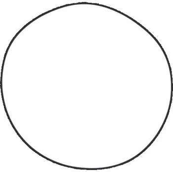 Těsnění pro motocykl Winderosa těsnění víka alternátoru Polaris Sportsman 600 4x4 03, Sportsman 600 4x4 Built B