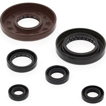 Těsnění motoru Winderosa sada gufer motoru Honda TRX500FE 05-11, TRX500FPE 07-11