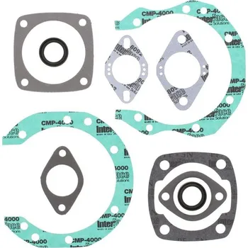 Těsnění motoru Winderosa sada těsnění motoru (s olejovým těsněním) Sachs 290 SA290SS/SA290R FC1