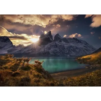 Puzzle Heye Lamy guanako 1000 dílků