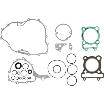 Těsnění motoru Winderosa sada těsnění motoru (s olejovým těsněním) Yamaha XT250 08-20, YFM 250 Raptor 08-