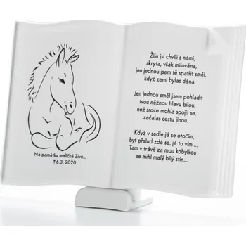 Rám na obraz Porcelánová kniha Euro 13x20cm - dekorace na pomník a na hrob Barva fotografie: Černobílá