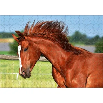 Puzzle Puzzle kůň v ohradě (puzzle s motivem koní)