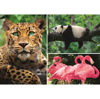 TREFL Zvířata koláž 1000 dílků