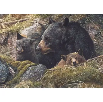 Puzzle Puzzle Rodina medvědů od Cobble Hill 1000 dílků