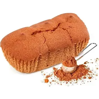 Keto dieta Victus Proteinová buchtička s kakaem