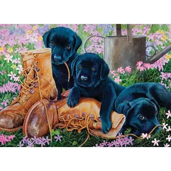 Puzzle Cobble Hill Trable v zahradě 500 dílků