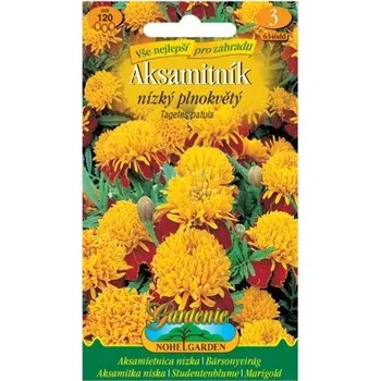 Semeno Nohel Garden Aksamitník nízký plnokvětý, žluto-hnědý