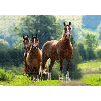 Puzzle Puzzle koně stádo koní (puzzle s motivem koní)