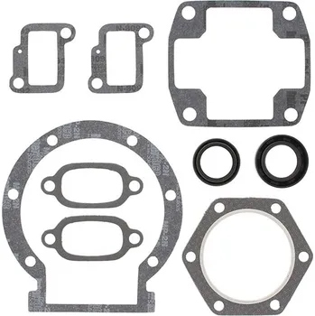 Těsnění motoru Winderosa sada těsnění motoru (s olejovým těsněním) Jlo-cuyuna L295/L300 30mm crank FC/1