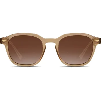 Sluneční brýle Hnědé čiré geometrické polarizační sluneční brýle s rohovými obroučkami - Lucleon