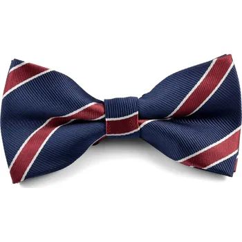 Motýlek Tmavě modrý motýlek s diagonálními pruhy - Tailor Toki