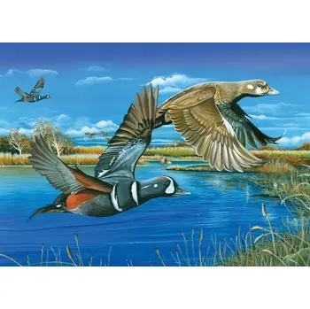 Puzzle Puzzle Harlekýnský románek 1000 dílků od Cobble Hill