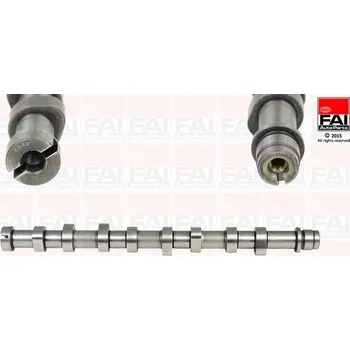 Vačková hřídel Vačkový hřídel FAI AutoParts C260