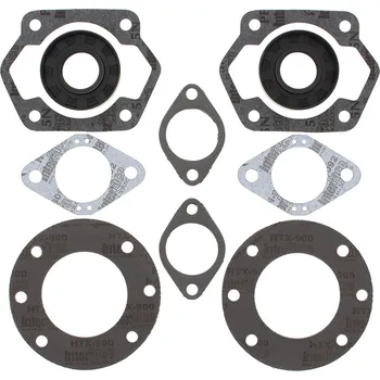Těsnění motoru Winderosa sada těsnění motoru (s olejovým těsněním) Ski-Doo TNT 400 FA 396 73-74