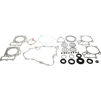 Těsnění motoru Winderosa sada těsnění motoru (s olejovým těsněním) Arctic Cat 650 4x4 w/AT V2 04-06, Kawa