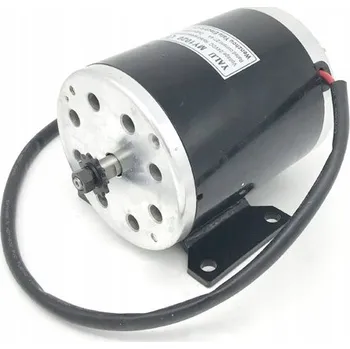 Dětské elektrovozidlo Elektrický motor 800 W 36 V pro čtyřkolku Bashan