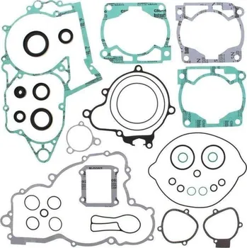 Těsnění motoru Winderosa sada těsnění motoru (s olejovým těsněním) Husaberg TE300 11-14, Husqvarna TE 300