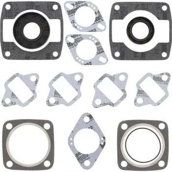 Těsnění motoru Winderosa sada těsnění motoru (s olejovým těsněním) Jlo-cuyuna 399/2 4 Bolt Head FC/2