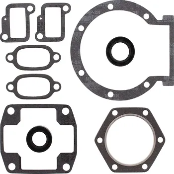 Těsnění motoru Winderosa sada těsnění motoru (s olejovým těsněním) Jlo-cuyuna L295/L300 24mm crank FC/1