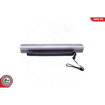 Elektromotor, zadní dveře ESEN SKV 52SKV935