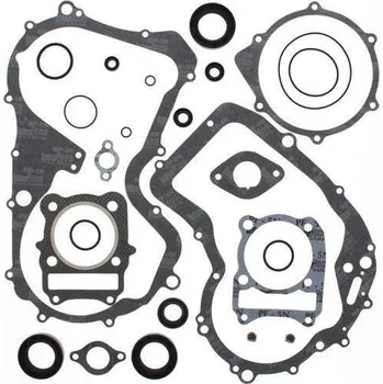 Těsnění motoru Winderosa sada těsnění motoru (s olejovým těsněním) Arctic Cat 300 2x4 98-04, 300 4x4 98-0