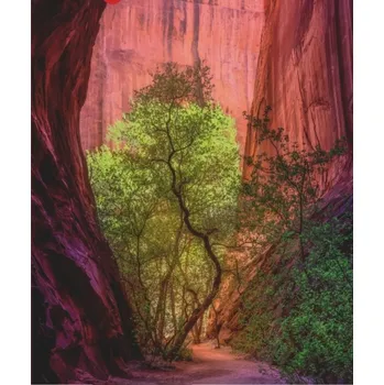 Puzzle Puzzle 1000 dílků – kaňon