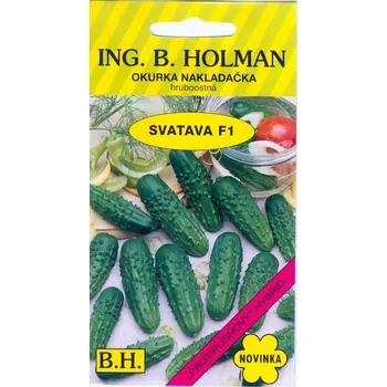 Semeno ing.Holman Okurka nakladačka Holman Svatava F1 2,5g