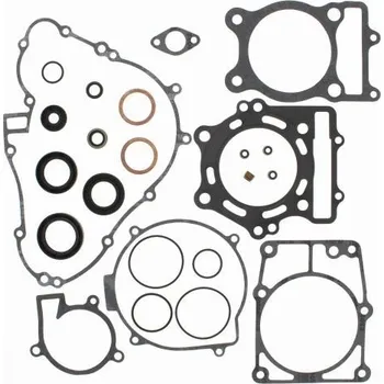Těsnění motoru Winderosa sada těsnění motoru (s olejovým těsněním) Kawasaki KVF400A Prairie 4x4 97-98, KV
