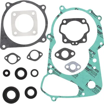Těsnění motoru Winderosa sada těsnění motoru (s olejovým těsněním) Kawasaki KFX50 03-06, Suzuki LT-A50 02