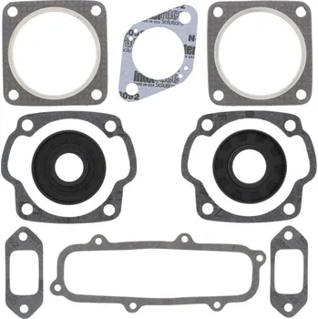 Těsnění motoru Winderosa sada těsnění motoru (s olejovým těsněním) Sachs 440 SA440 Electric Start FC/2