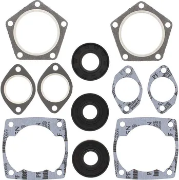 Těsnění motoru Winderosa sada těsnění motoru (s olejovým těsněním) Ccw kioritz KEC 400 FC/2, John Deere 5