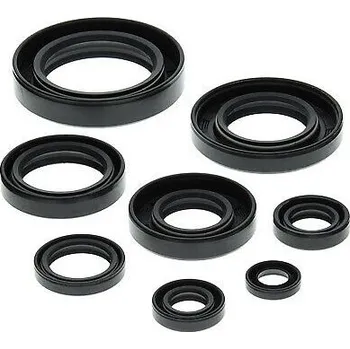 Těsnění motoru Winderosa sada gufer motoru Honda ATC250R 85-86, TRX250R 86-89