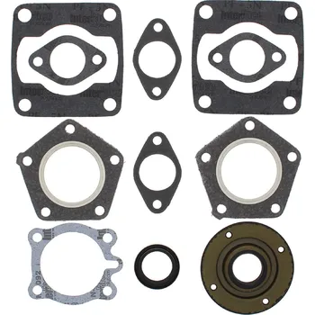 Těsnění motoru Winderosa sada těsnění motoru (s olejovým těsněním) Polaris Colt 75-78, Colt SS 74-76, TX