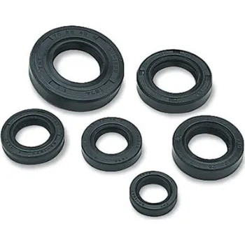 Těsnění motoru Winderosa sada gufer motoru Kawasaki KX250 05-07