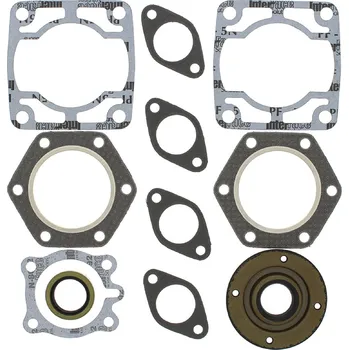 Těsnění motoru Winderosa sada těsnění motoru (s olejovým těsněním) Polaris TX/TX-C 80