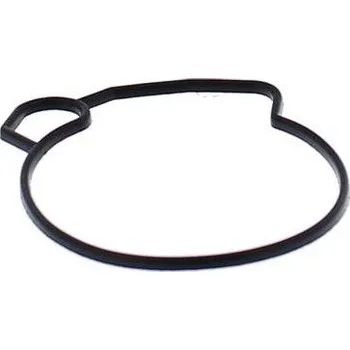 Těsnění pro motocykl All Balls těsnění plovákové komory, jen pro závodní účely Arctic Cat 50 Y-6 04-05, 90 2-St