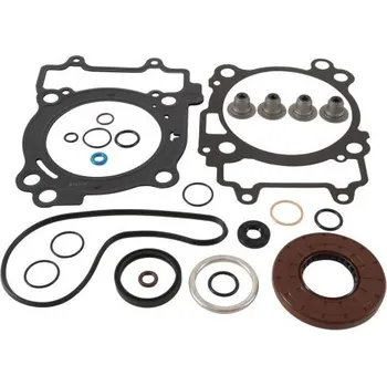 Těsnění motoru Winderosa sada těsnění motoru (s olejovým těsněním) Polaris Sportsman 550 XP 10, Sportsman