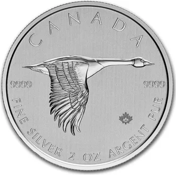 Stříbrná mince Kanadská husa 2 oz
