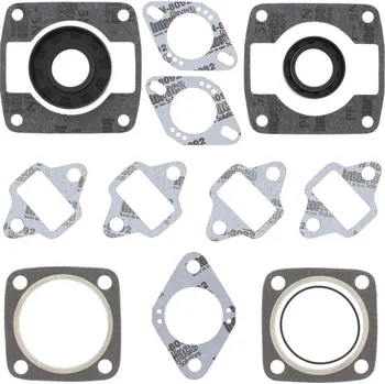 Těsnění motoru Winderosa sada těsnění motoru (s olejovým těsněním) Jlo-cuyuna 399/2 4 Bolt Head Electric