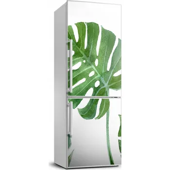 Fototapeta Samolepicí fólie/tapeta na lednici Monstera 70x190 cm