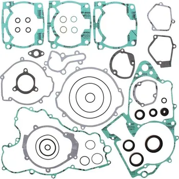 Těsnění motoru Winderosa sada těsnění motoru (s olejovým těsněním) KTM EXC 300 94-03, MXC 300 94-03, SX 3