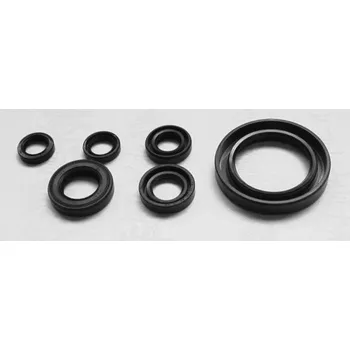 Těsnění motoru TOURMAX sada gufer motoru YAMAHA XV S650 DRAG STAR 97-04