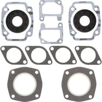 Těsnění motoru Winderosa sada těsnění motoru (s olejovým těsněním) Arctic Cat EXT/El Tigre (Kawaski) FA/2