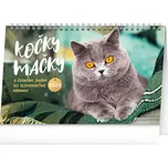 Notique Stolní kalendář Kočky 2025