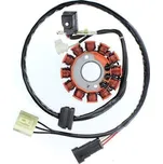 ELECTROSPORT Stator (vinutí) alternátoru MALAGUTI CENTRO 125 09-12, 160 08-11, MADISON 125