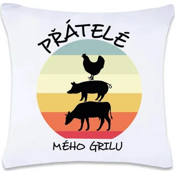 Dekorativní polštářek DOBRÝ TRIKO Polštář s potiskem 40 x 40 cm Přátelé mého grilu Oboustranný tisk: NE